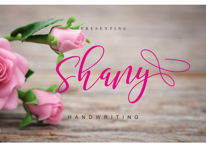 Image of Shany handwritten Font designed by Malindo Creative.