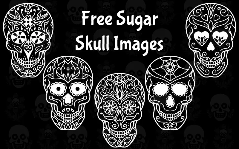 Free Sugar Skull Images Freebie Feature Image